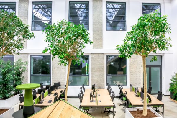 E Net Production, Katowice 